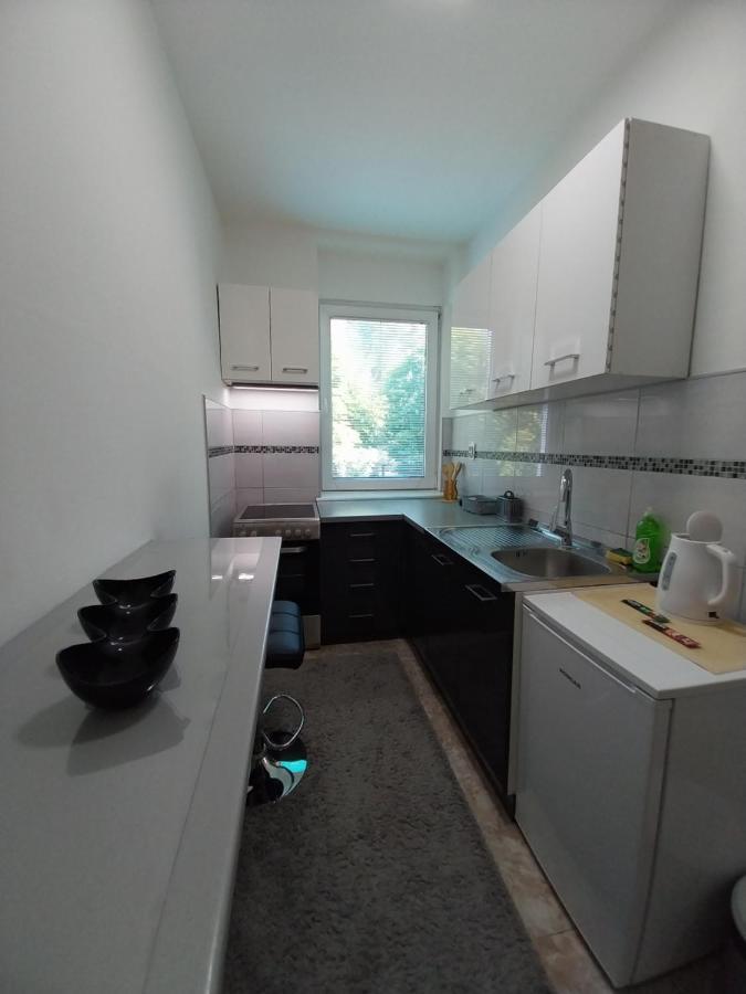Apartmani Sofronic Loznica 1 Exteriér fotografie