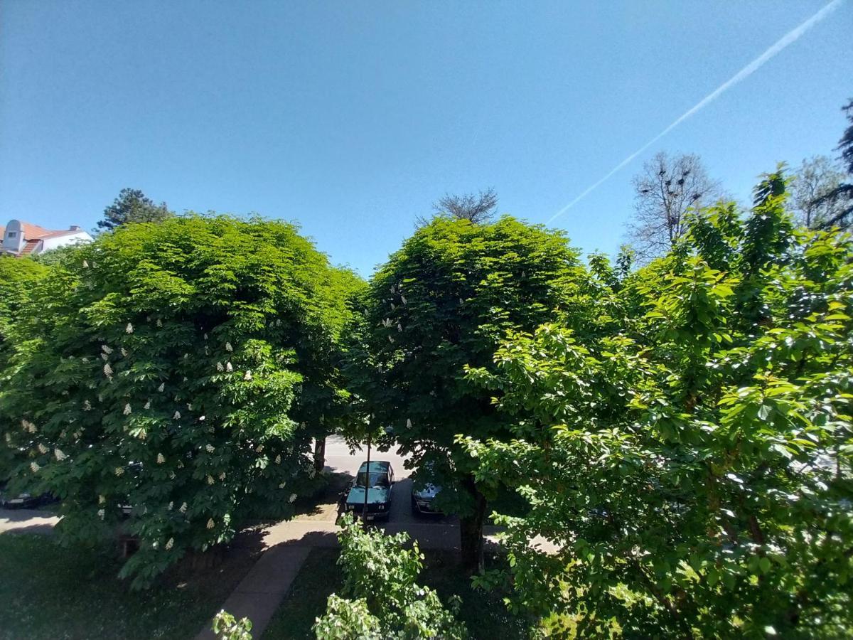 Apartmani Sofronic Loznica 1 Exteriér fotografie